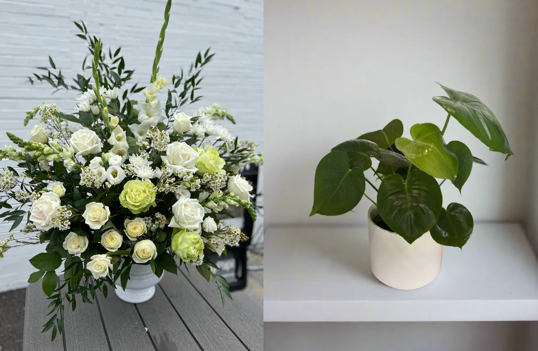 What Are the Best Sympathy Flowers to Send?