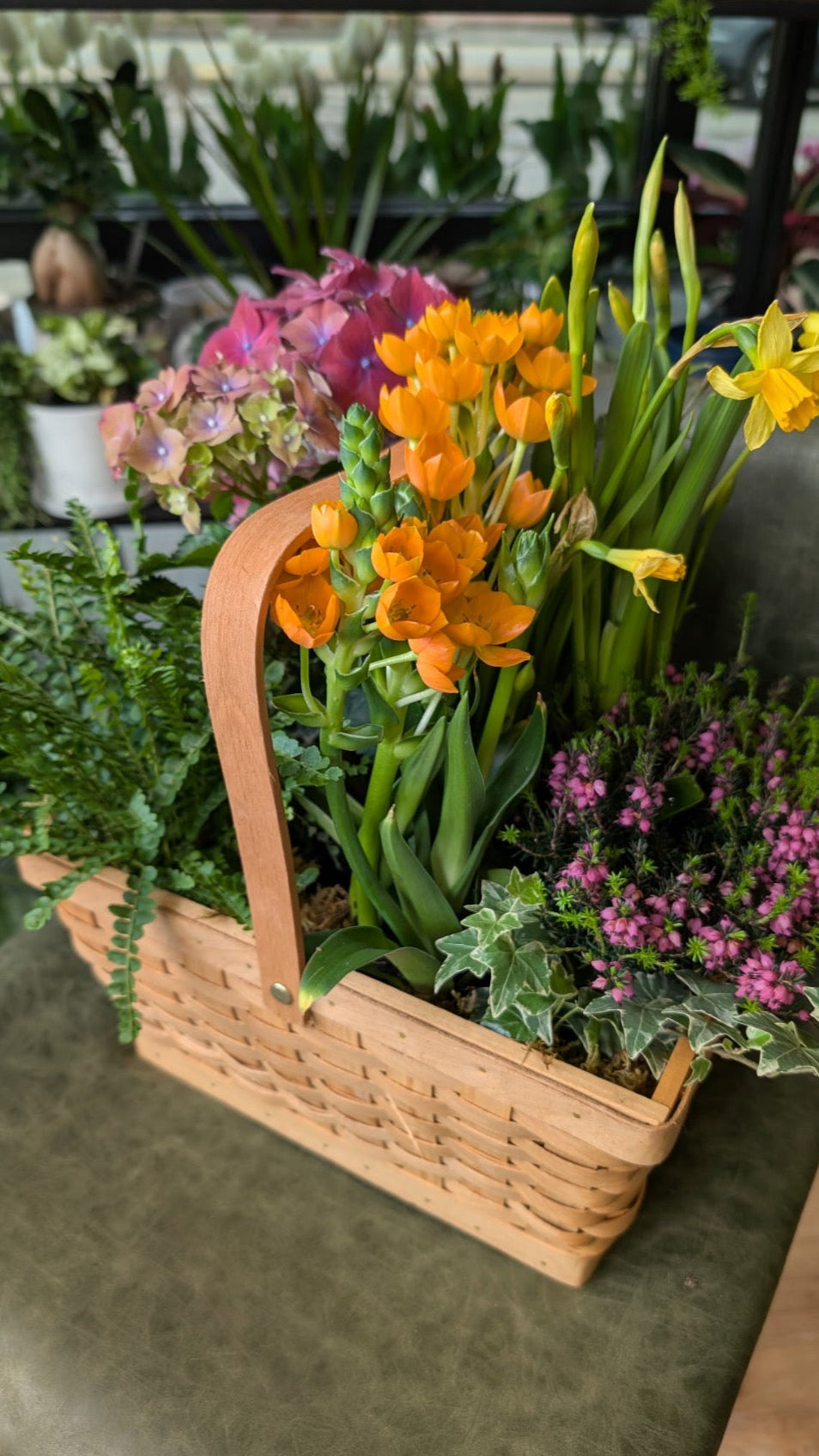 Spring Plant Basket