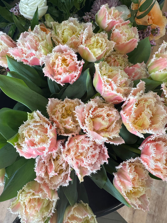 Local Tulip Subscription (4 weeks)