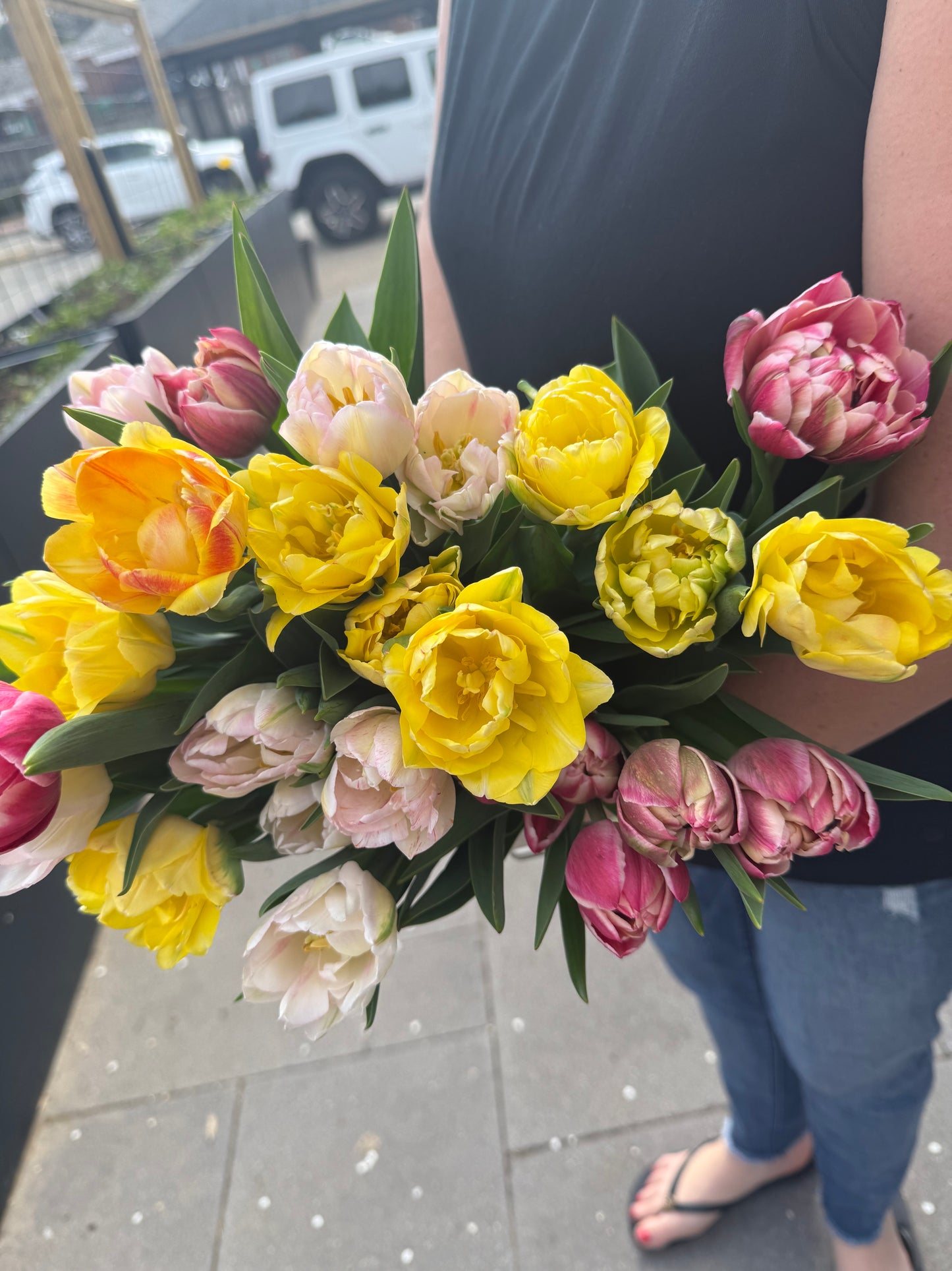 Local Tulip Subscription (4 weeks)