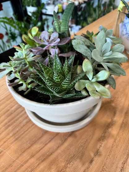 Deluxe Sympathy Succulent Garden