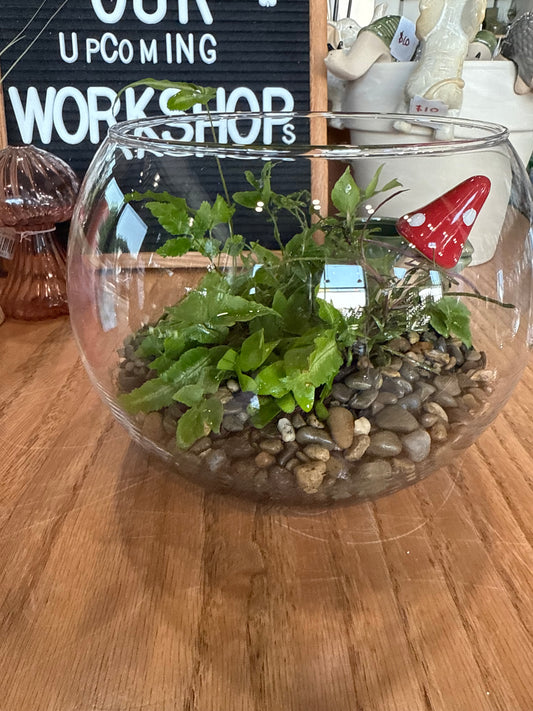 Terrarium Workshop - Sunday October 19th - 4:00pm-5:30pm