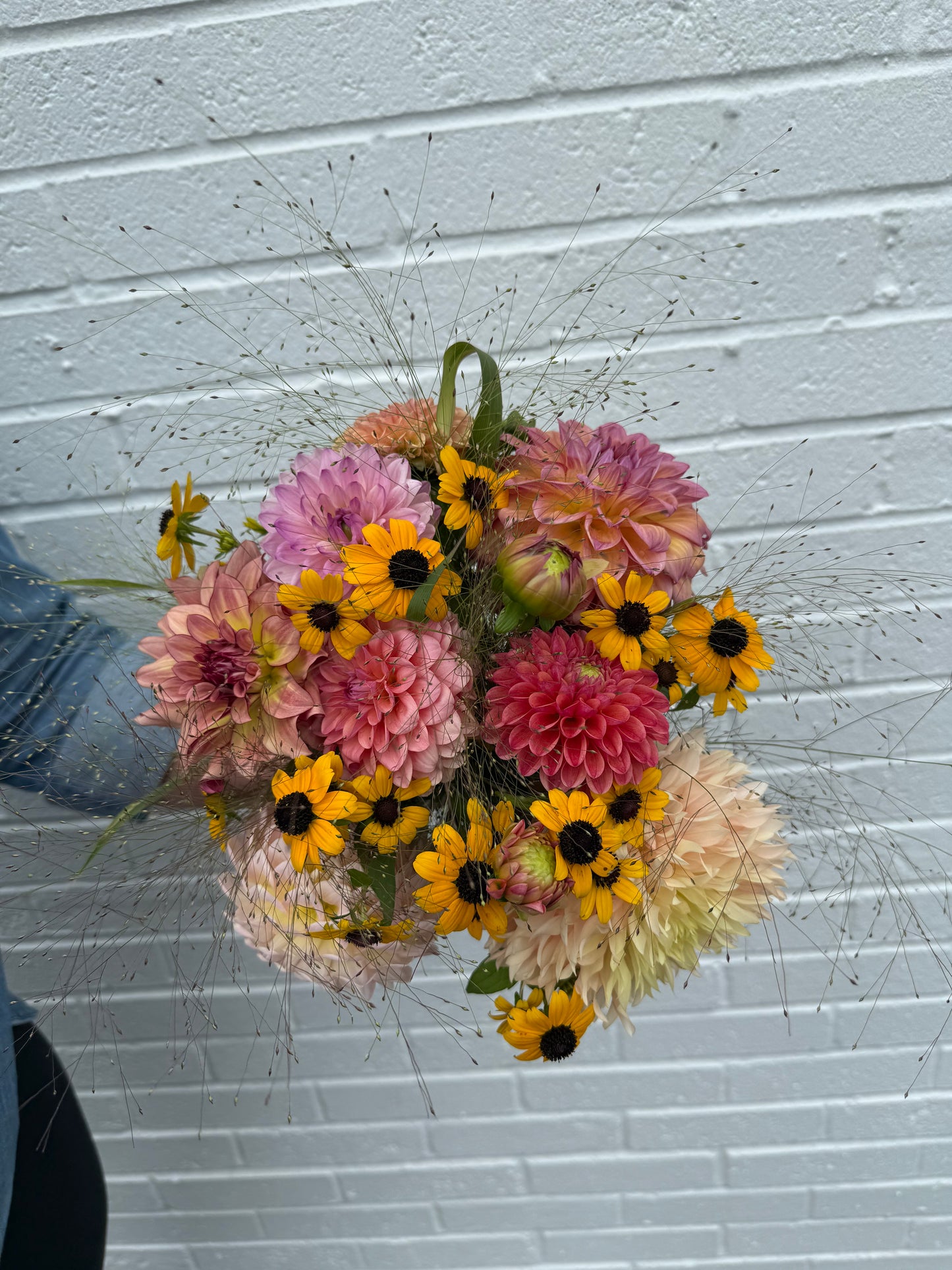 6 Week Dahlia Delivery Subscription