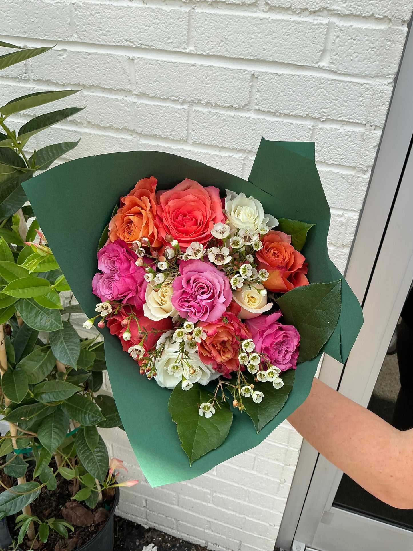 Mixed Dozen Roses Wrap