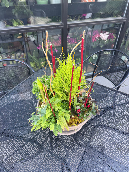 Deluxe Winter Garden