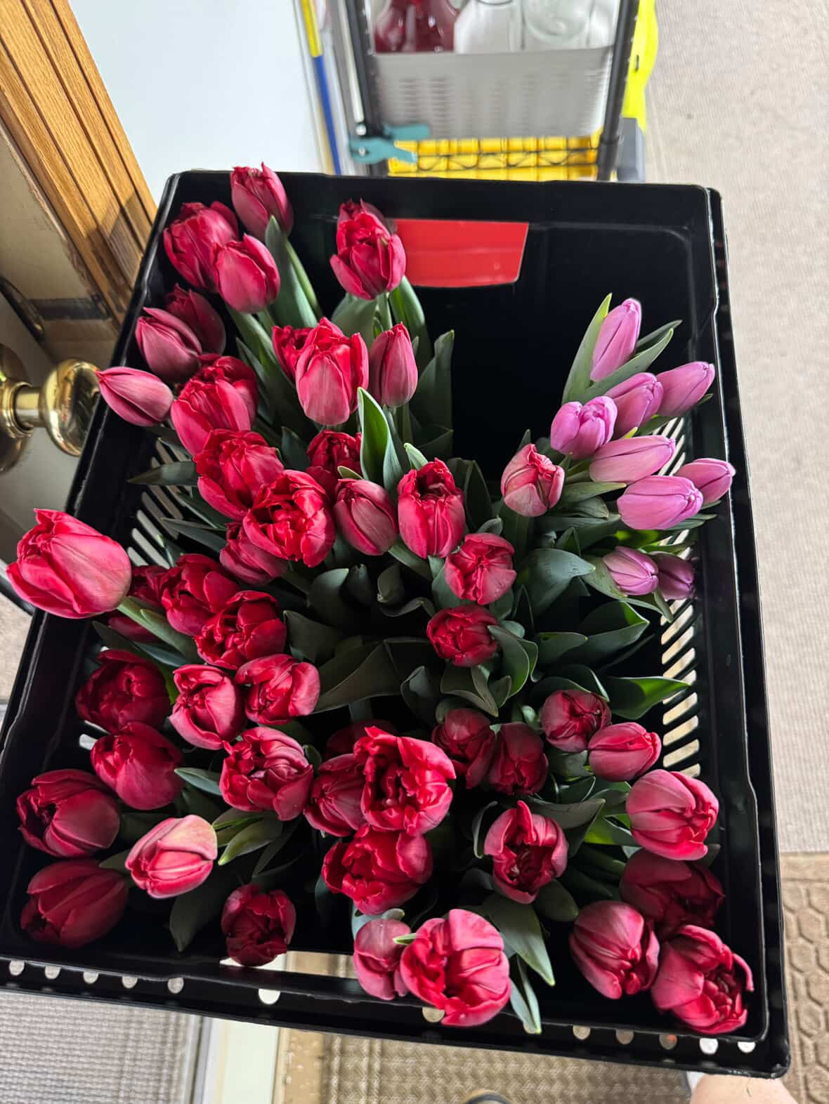 Local Tulip Bouquet - Pickup Only 2/7-2/8