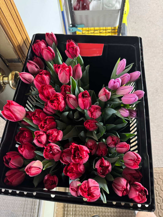Local Tulip Bouquet - Pickup Only 2/7-2/8