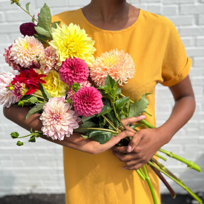 All About Dahlias! - Sunday May 3, 2:00pm-3:30pm