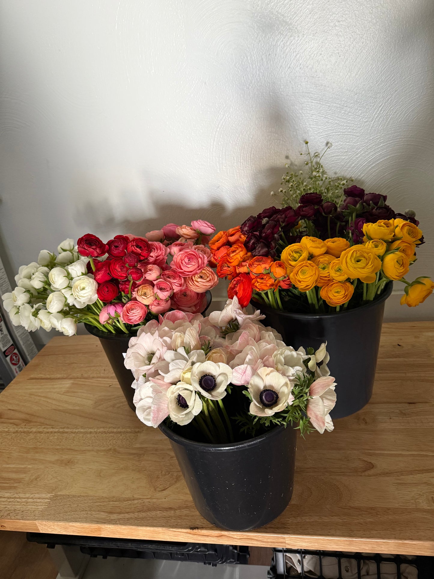 Spring Cut Flower Garden Workshop - Sunday March 15, 2:00-4:00pm