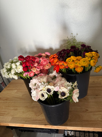 Spring Cut Flower Garden Workshop - Sunday March 15, 2:00-4:00pm