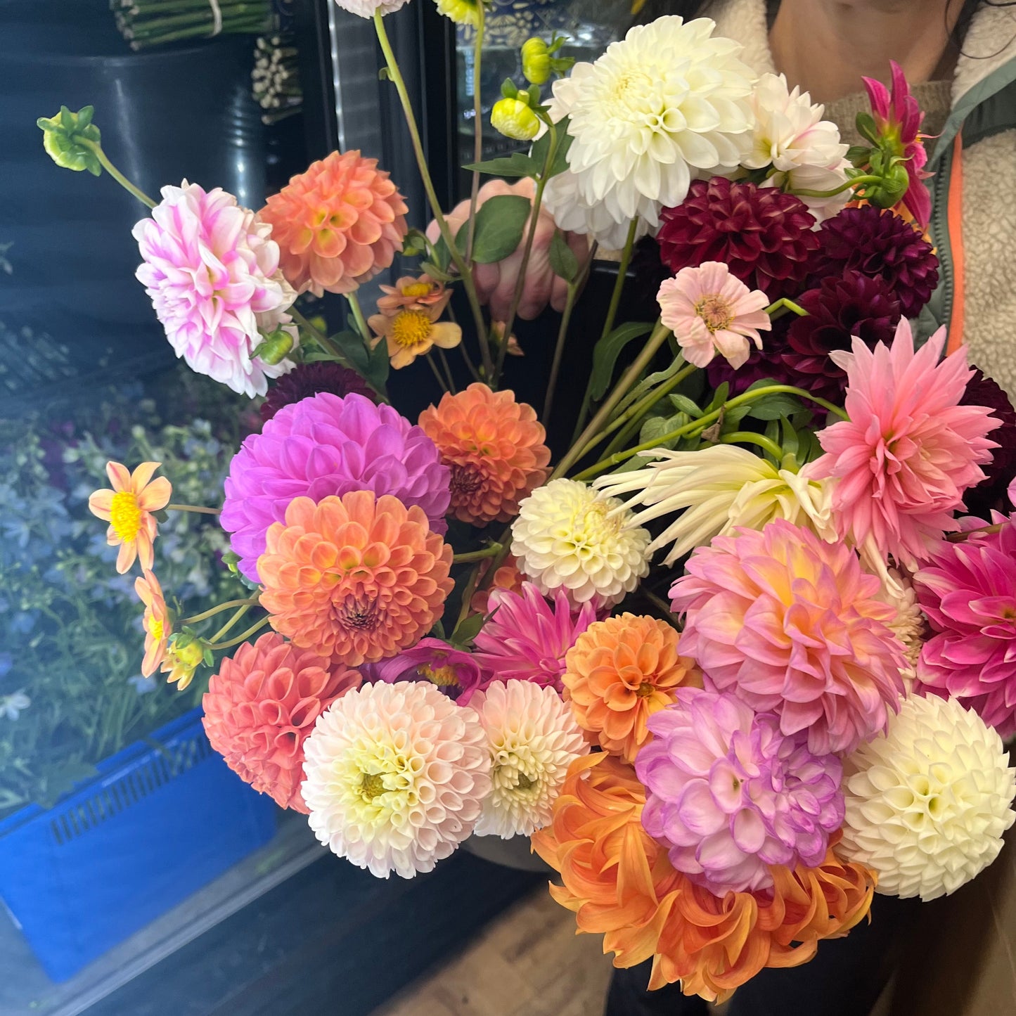 All About Dahlias! - Sunday May 3, 2:00pm-3:30pm