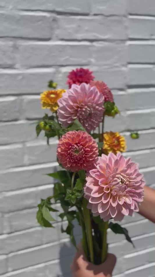 July Flower Arranging Workshop - Dahlia Edition - Thursday July 31, 7:00-8:30pm